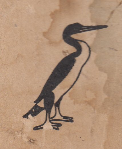 Pato guanay, ave guanera símbolo de la Sochif.
